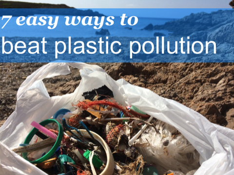 Plastic collected from beach